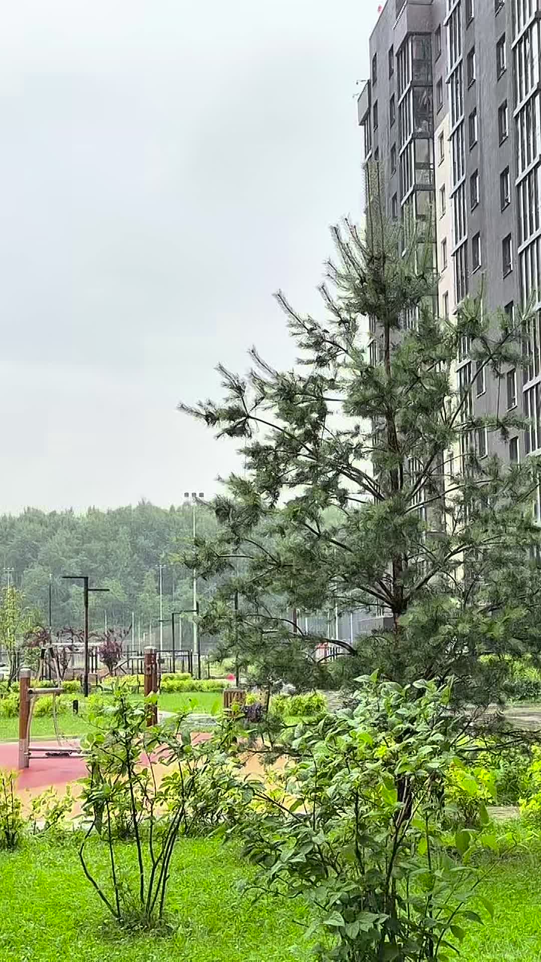 Клип @towngroupestate