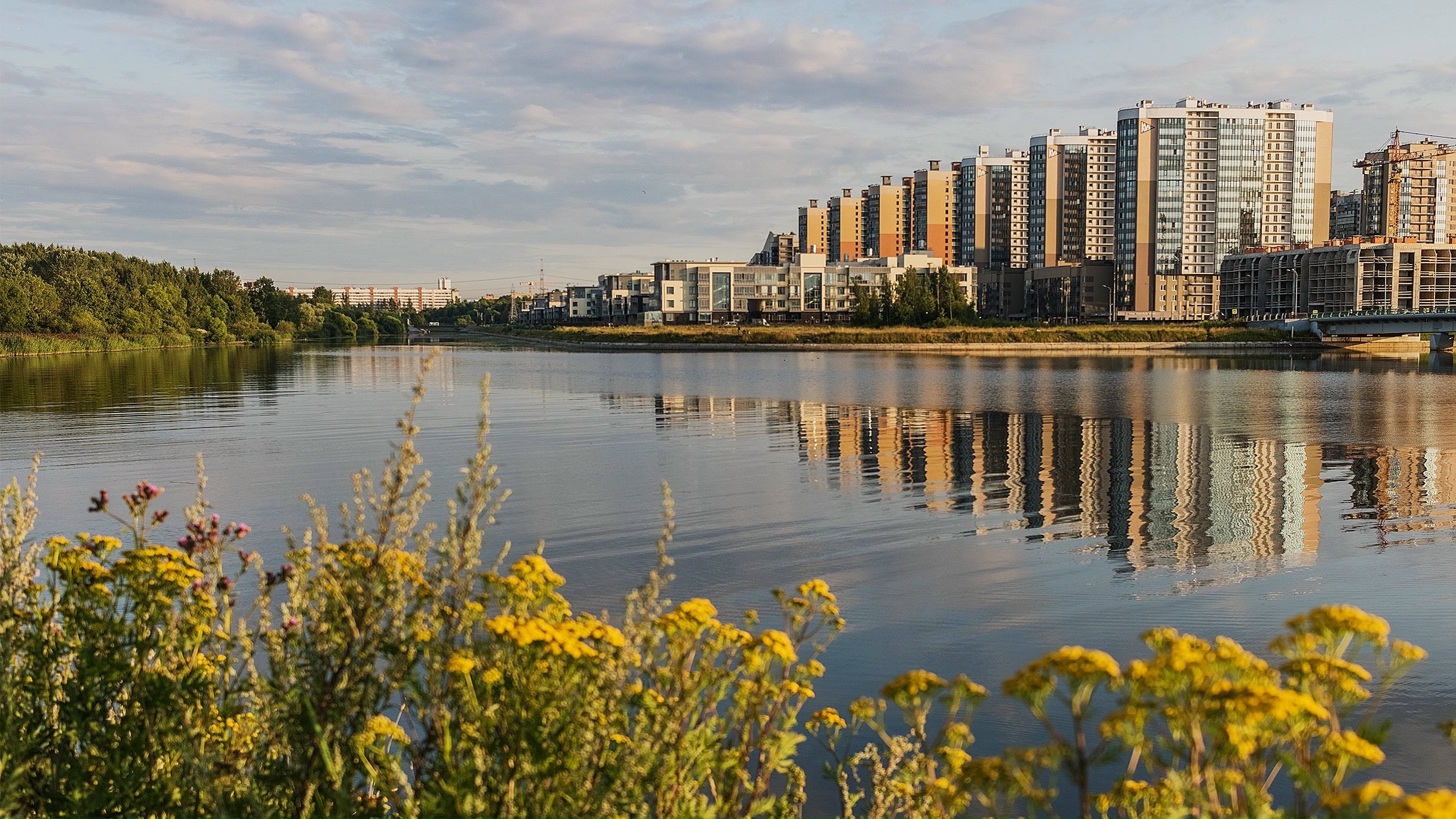 🗺 Красносельский: Район, где Питер встречается с морем (и немного